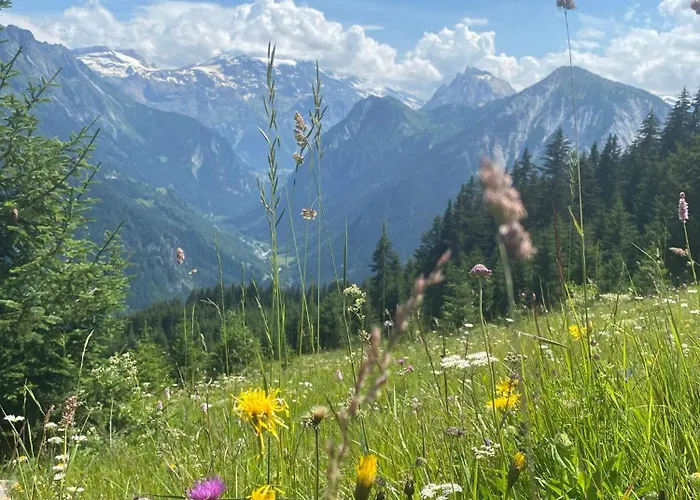 Les 4000 - Vue A Couper Le Souffle, Charme Montagnard Et Confort Moderne Pour 4 A 6 Personnes A 200m Des Pistes Ла-Плань
